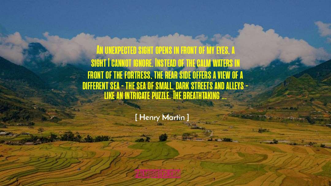 Henry Martin Quotes: An unexpected sight opens in