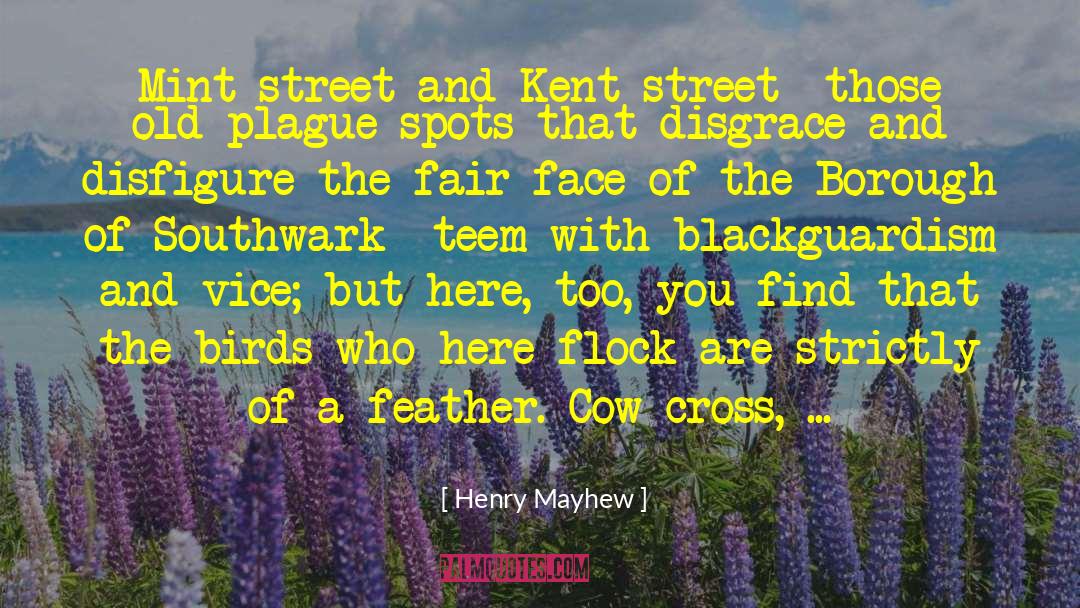 Henry Mayhew Quotes: Mint-street and Kent-street--those old plague-spots