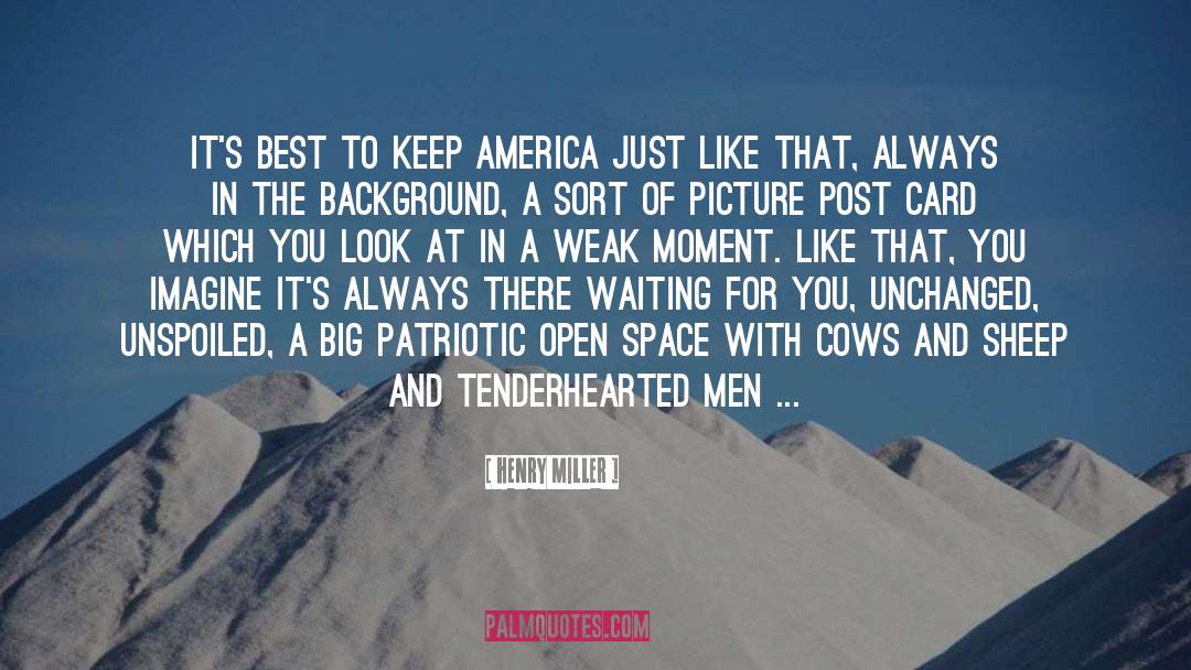 Henry Miller Quotes: It's best to keep America