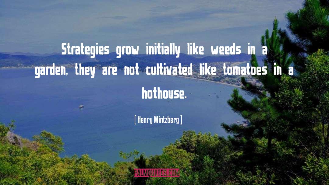 Henry Mintzberg Quotes: Strategies grow initially like weeds