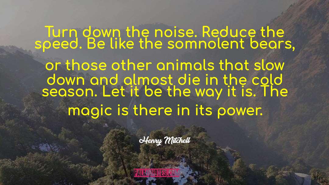 Henry Mitchell Quotes: Turn down the noise. Reduce