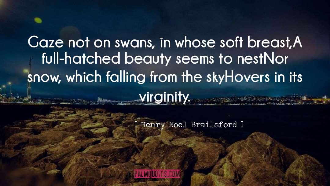 Henry Noel Brailsford Quotes: Gaze not on swans, in