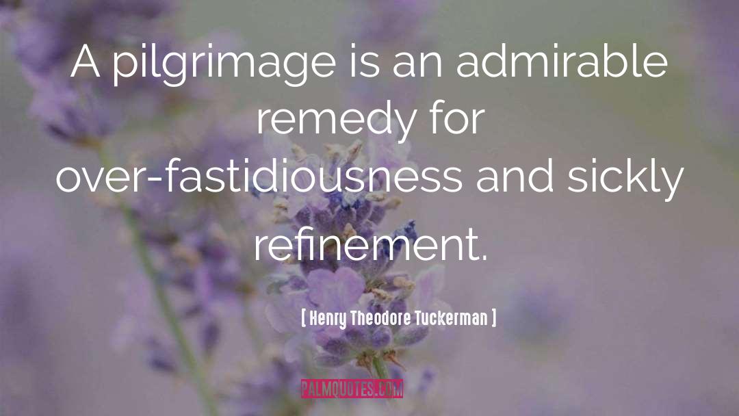Henry Theodore Tuckerman Quotes: A pilgrimage is an admirable