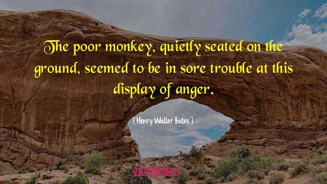 Henry Walter Bates Quotes: The poor monkey, quietly seated