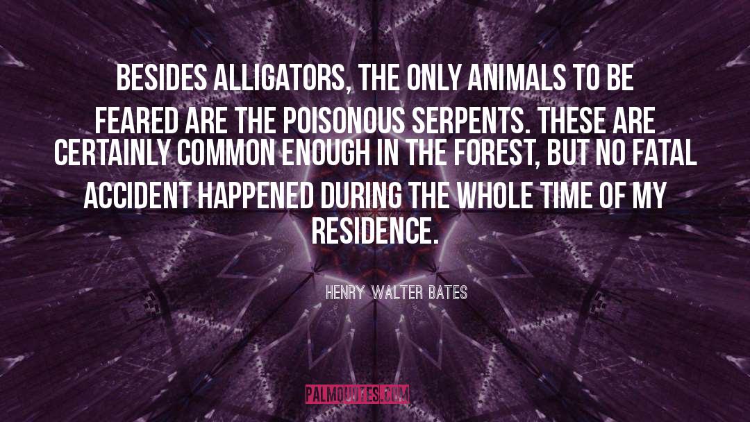 Henry Walter Bates Quotes: Besides alligators, the only animals