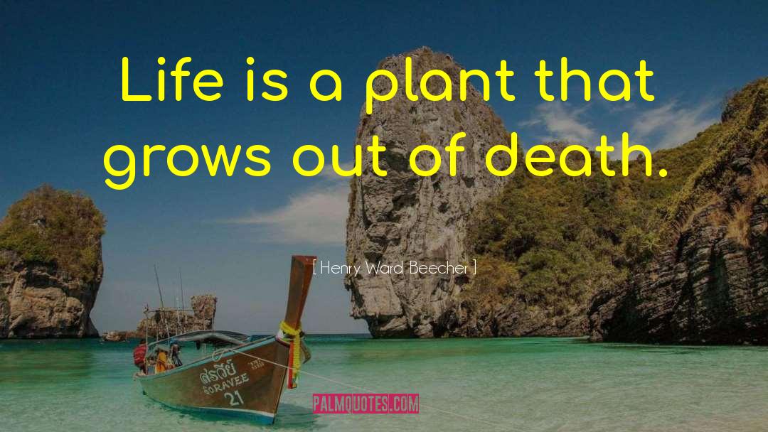 Henry Ward Beecher Quotes: Life is a plant that