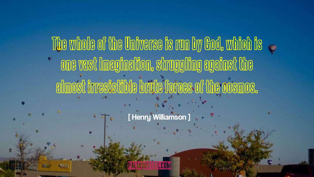 Henry Williamson Quotes: The whole of the Universe