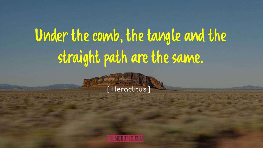 Heraclitus Quotes: Under the comb, the tangle
