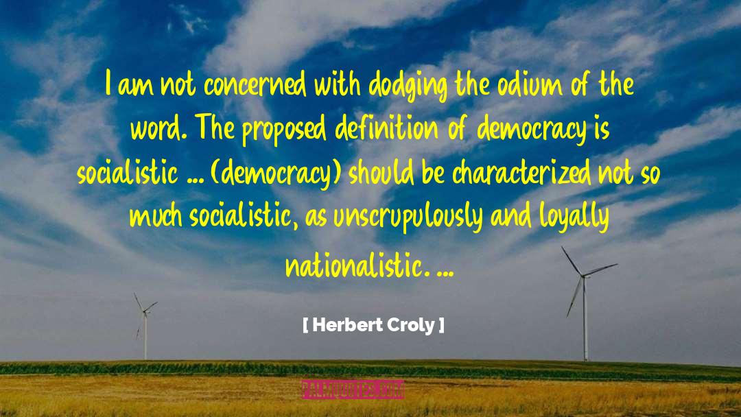 Herbert Croly Quotes: I am not concerned with