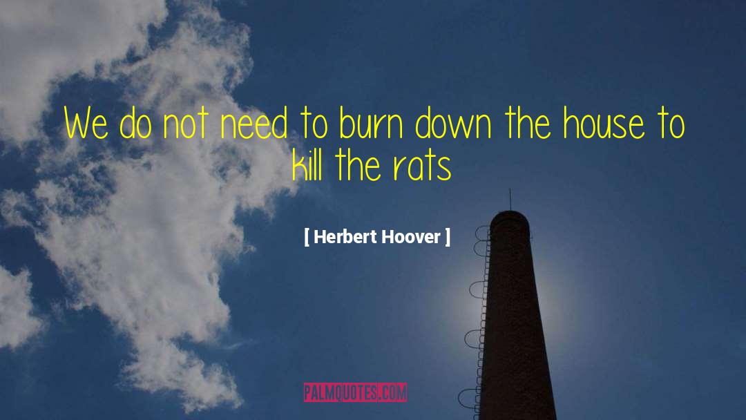 Herbert Hoover Quotes: We do not need to