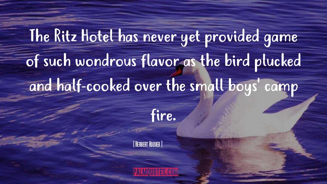 Herbert Hoover Quotes: The Ritz Hotel has never
