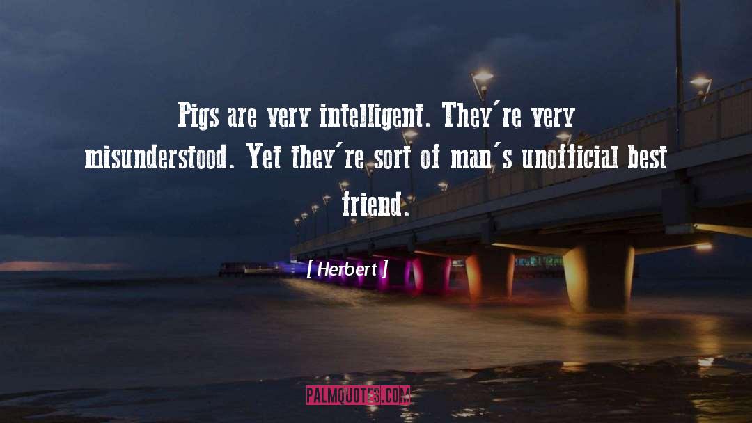 Herbert Quotes: Pigs are very intelligent. They're