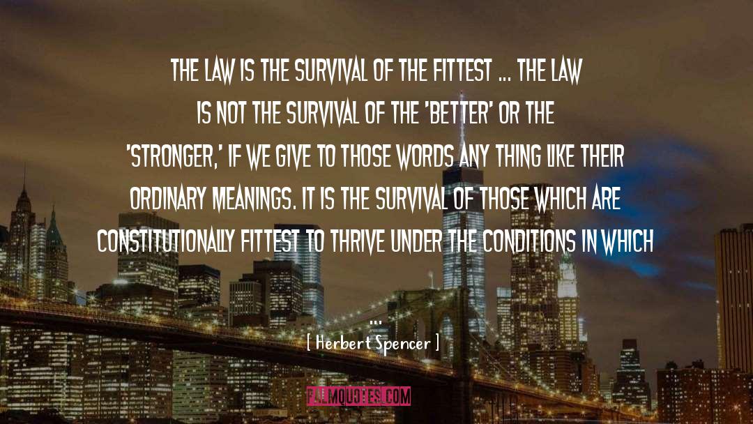 Herbert Spencer Quotes: The law is the survival