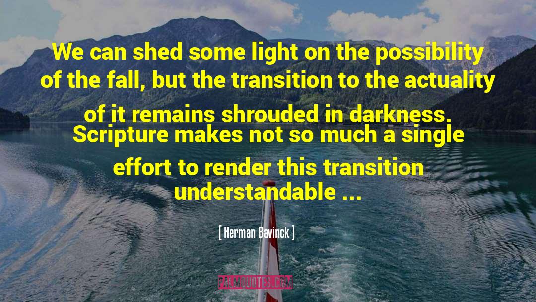 Herman Bavinck Quotes: We can shed some light