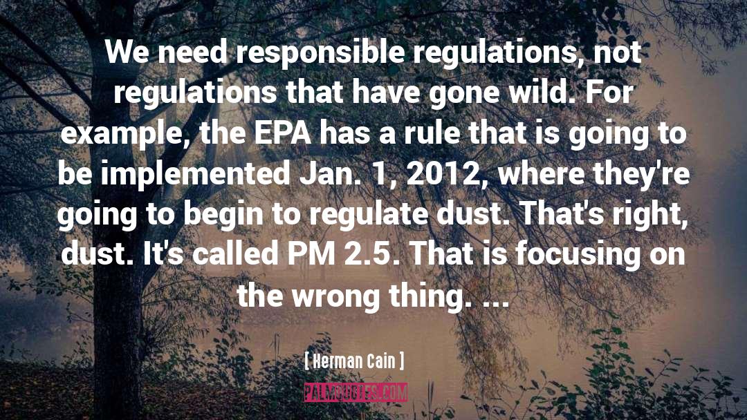 Herman Cain Quotes: We need responsible regulations, not