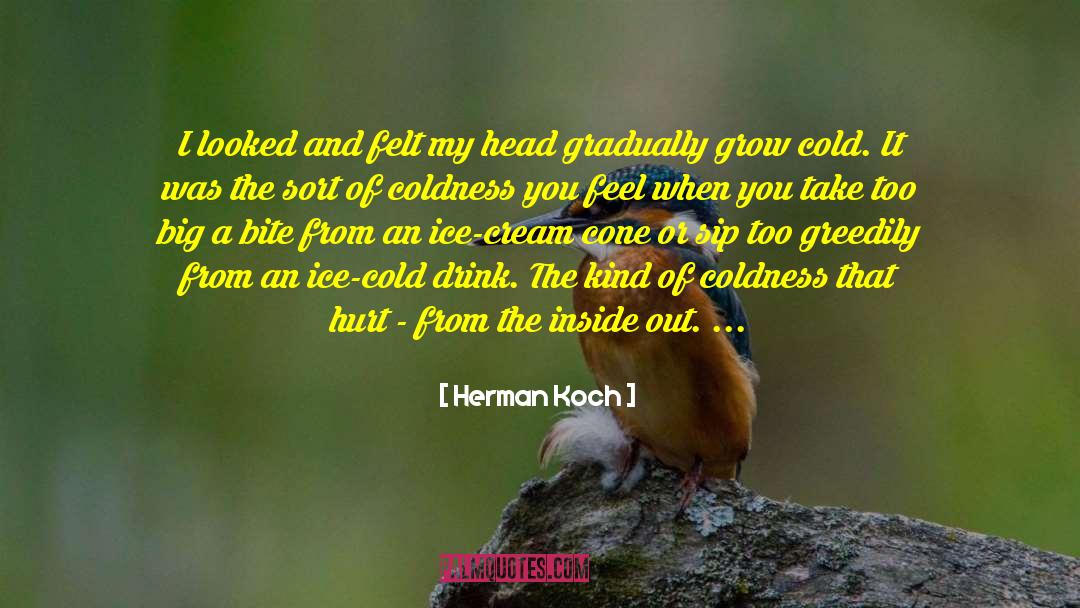 Herman Koch Quotes: I looked and felt my