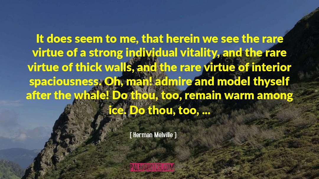 Herman Melville Quotes: It does seem to me,