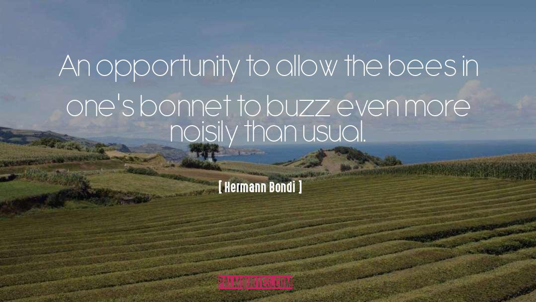 Hermann Bondi Quotes: An opportunity to allow the