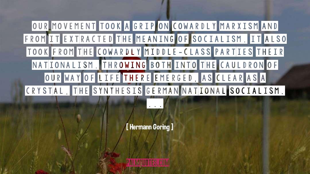Hermann Goring Quotes: Our movement took a grip