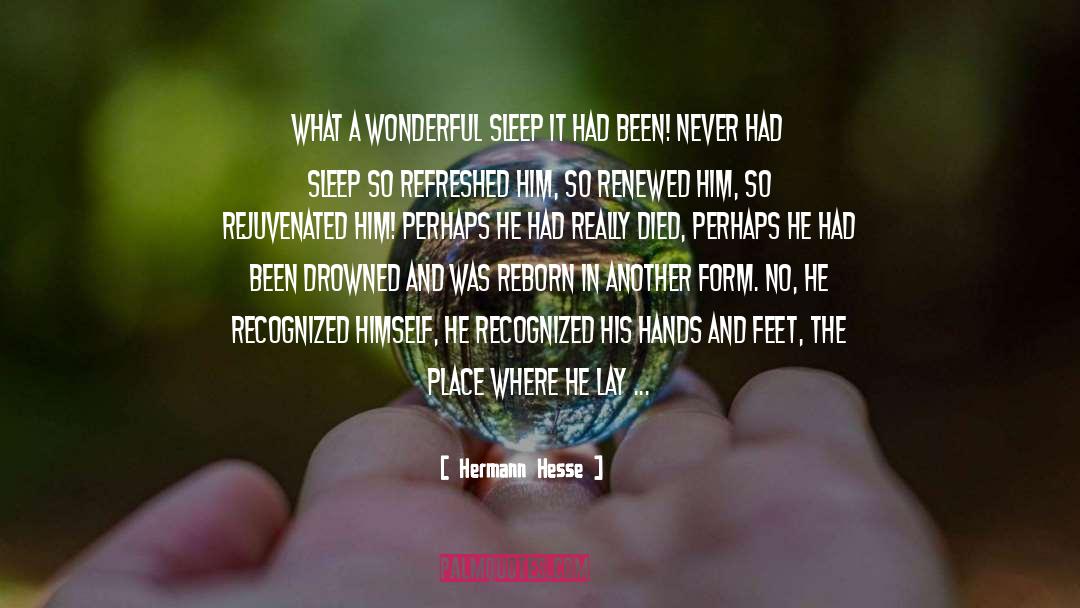 Hermann Hesse Quotes: What a wonderful sleep it