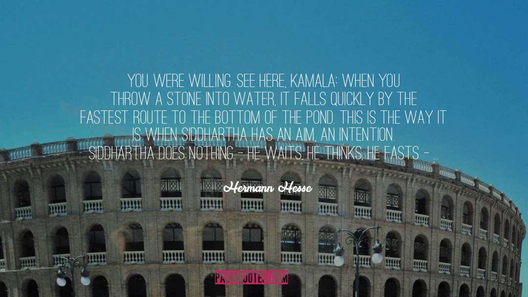 Hermann Hesse Quotes: You were willing. See here,