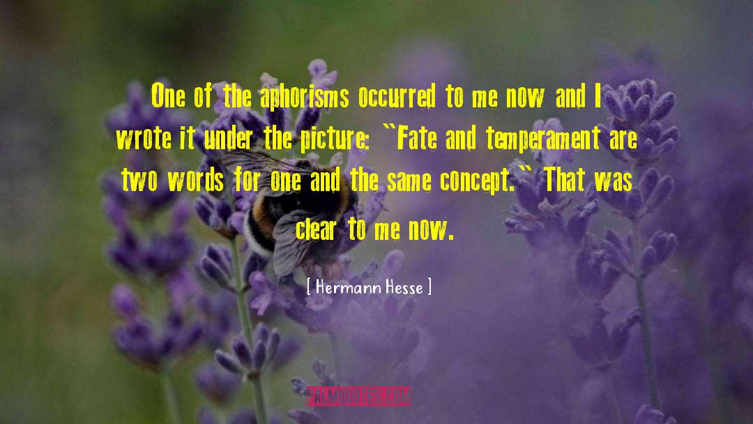 Hermann Hesse Quotes: One of the aphorisms occurred