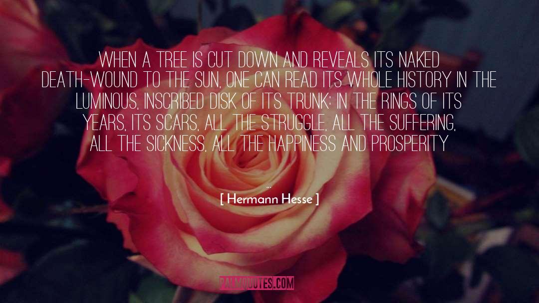 Hermann Hesse Quotes: When a tree is cut