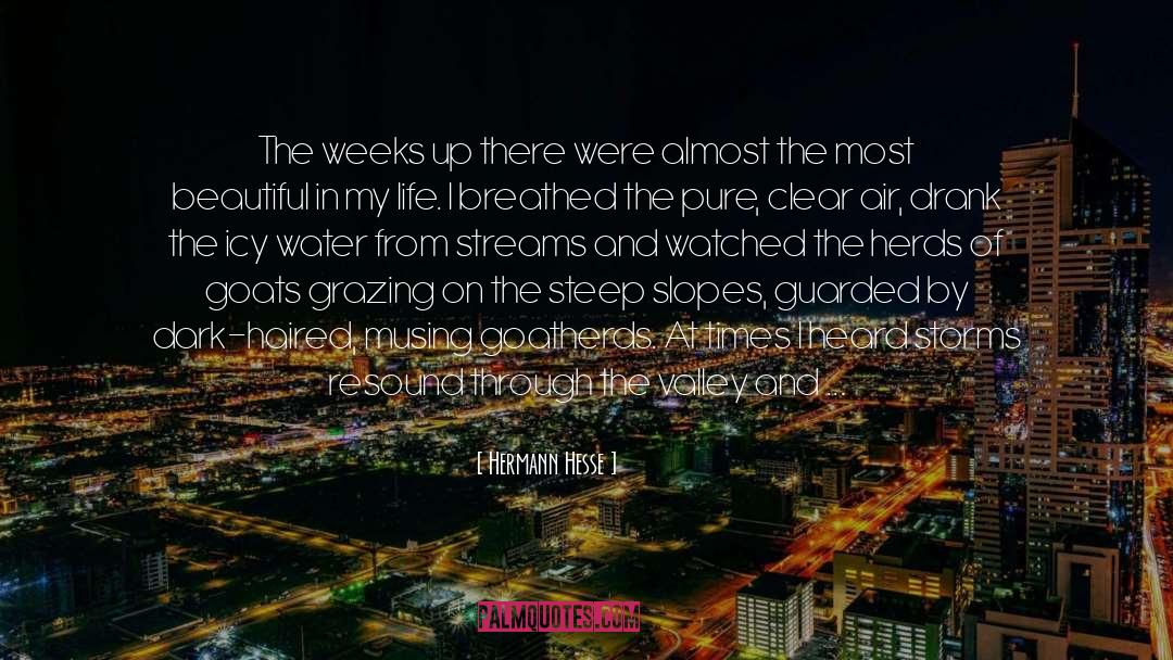 Hermann Hesse Quotes: The weeks up there were