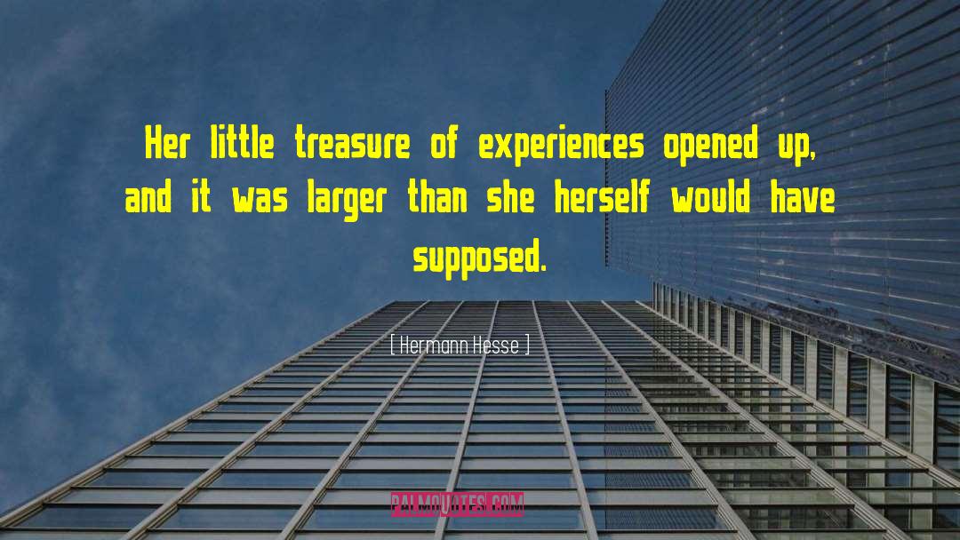 Hermann Hesse Quotes: Her little treasure of experiences