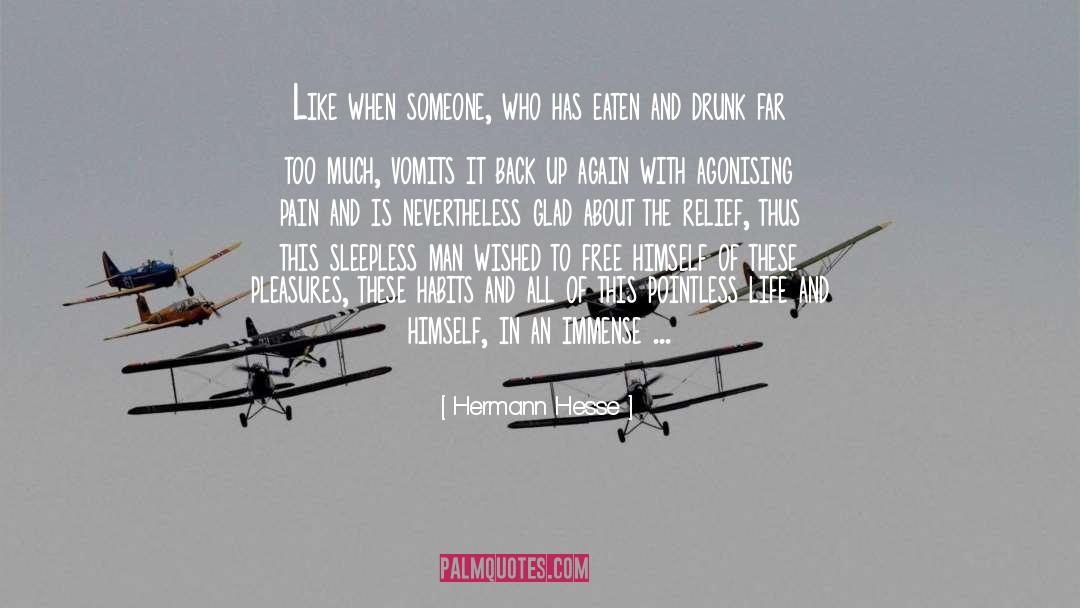 Hermann Hesse Quotes: Like when someone, who has