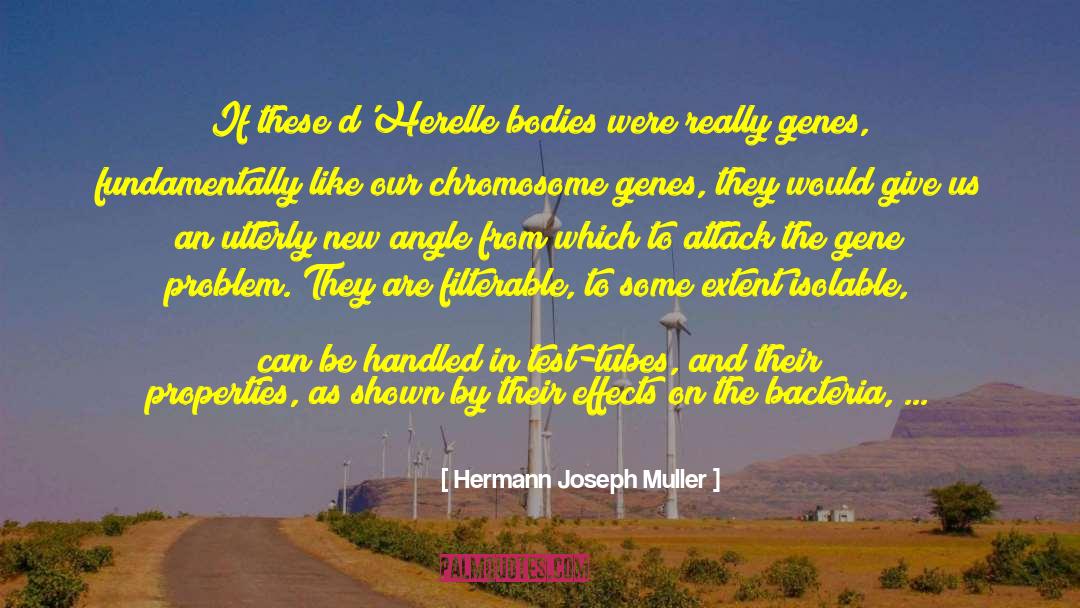 Hermann Joseph Muller Quotes: If these d'Herelle bodies were