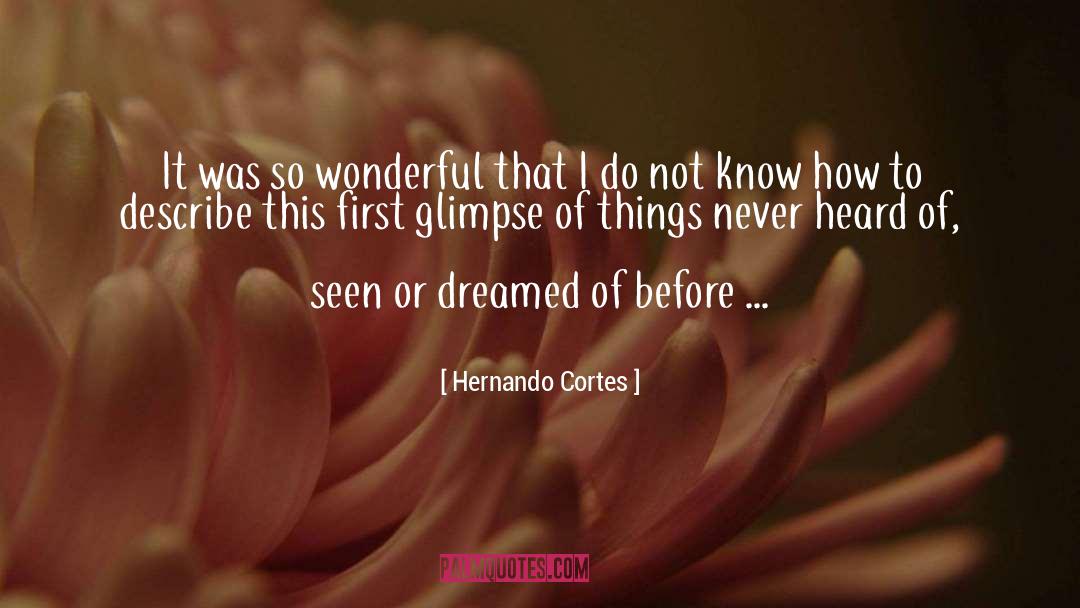 Hernando Cortes Quotes: It was so wonderful that
