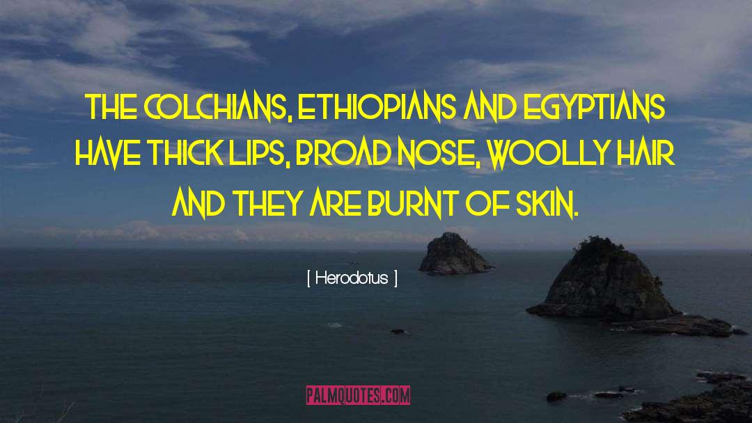 Herodotus Quotes: The Colchians, Ethiopians and Egyptians