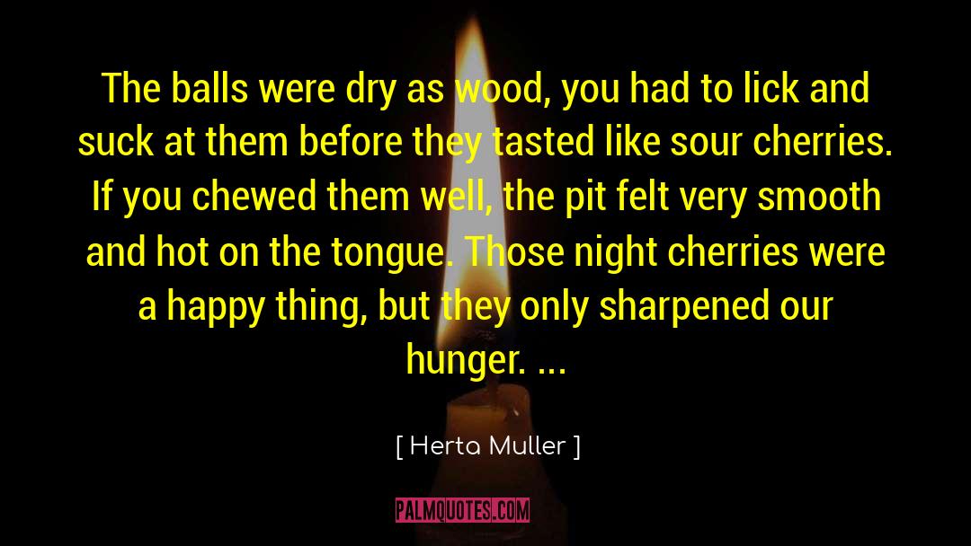 Herta Muller Quotes: The balls were dry as