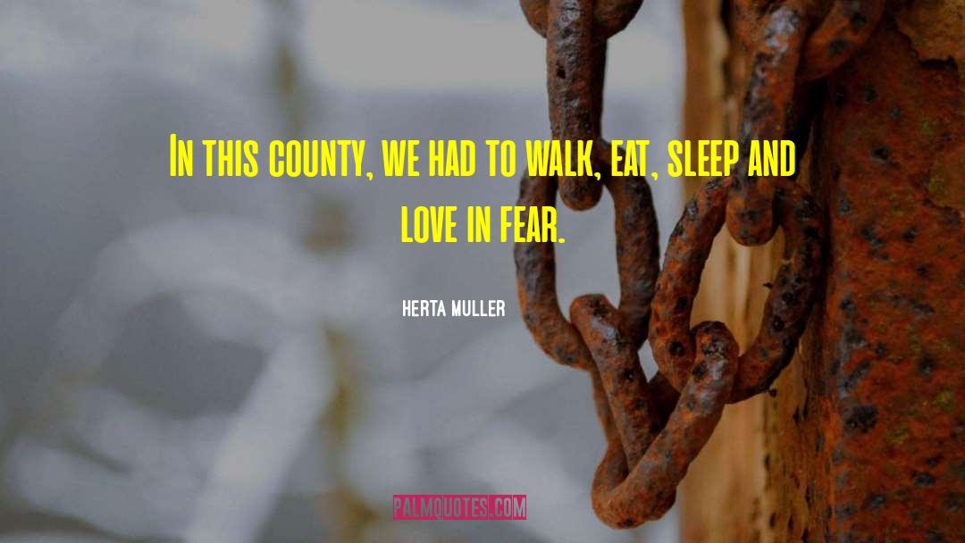 Herta Muller Quotes: In this county, we had