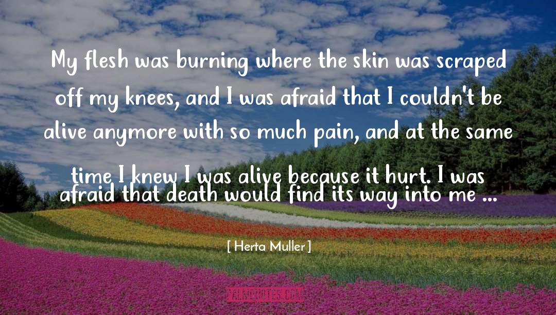 Herta Muller Quotes: My flesh was burning where
