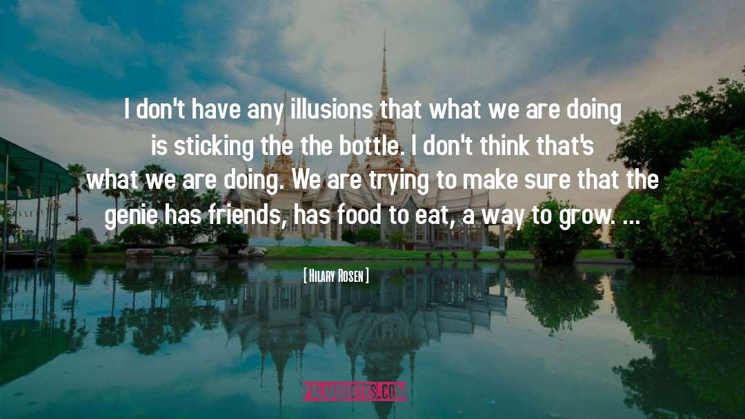 Hilary Rosen Quotes: I don't have any illusions
