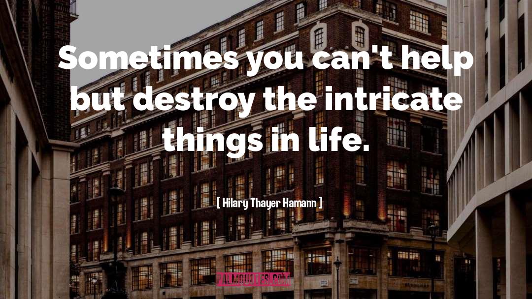 Hilary Thayer Hamann Quotes: Sometimes you can't help but