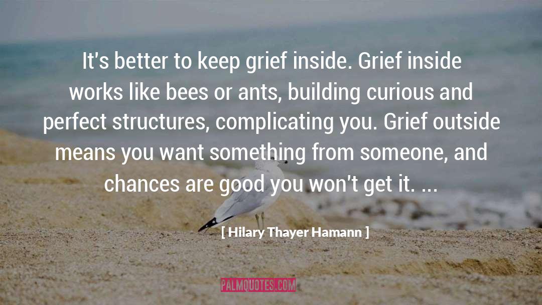Hilary Thayer Hamann Quotes: It's better to keep grief