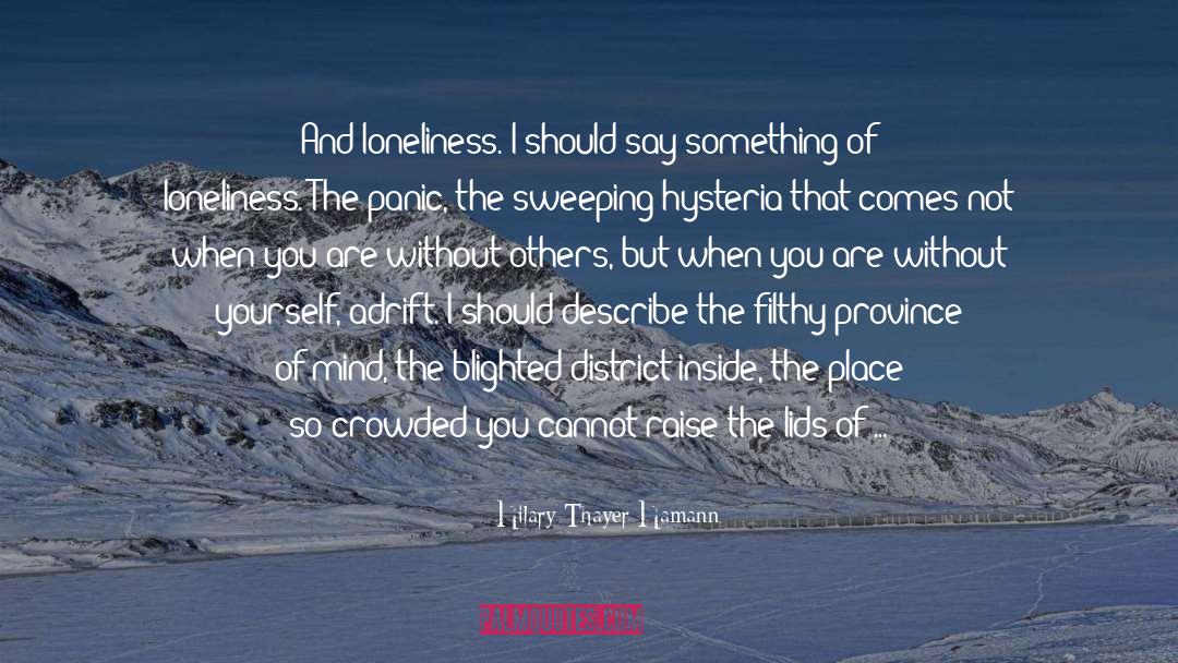 Hilary Thayer Hamann Quotes: And loneliness. I should say