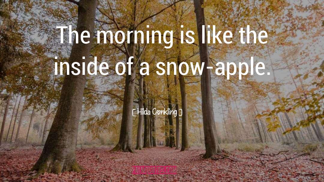 Hilda Conkling Quotes: The morning is like the