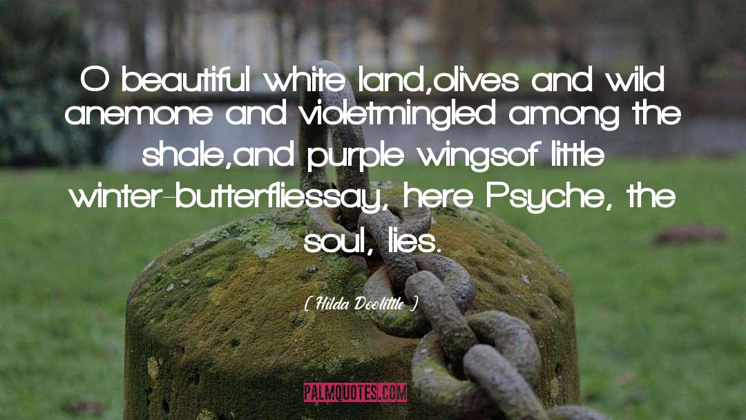 Hilda Doolittle Quotes: O beautiful white land,<br>olives and