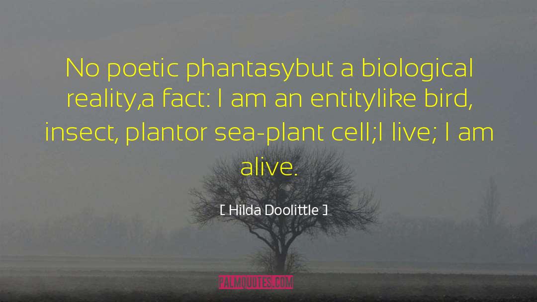 Hilda Doolittle Quotes: No poetic phantasy<br>but a biological