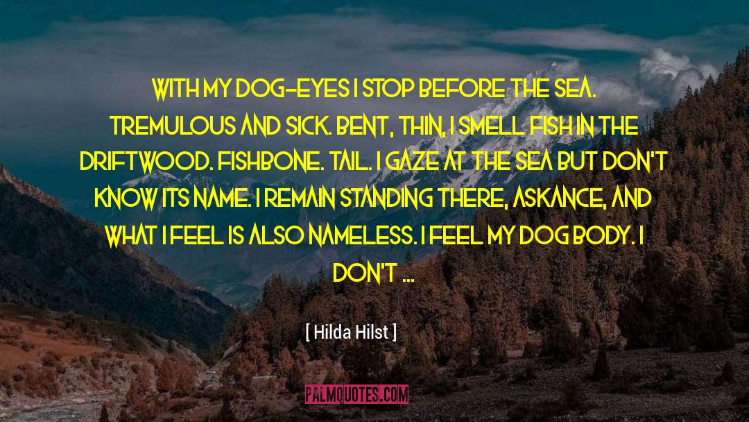 Hilda Hilst Quotes: With my dog-eyes I stop