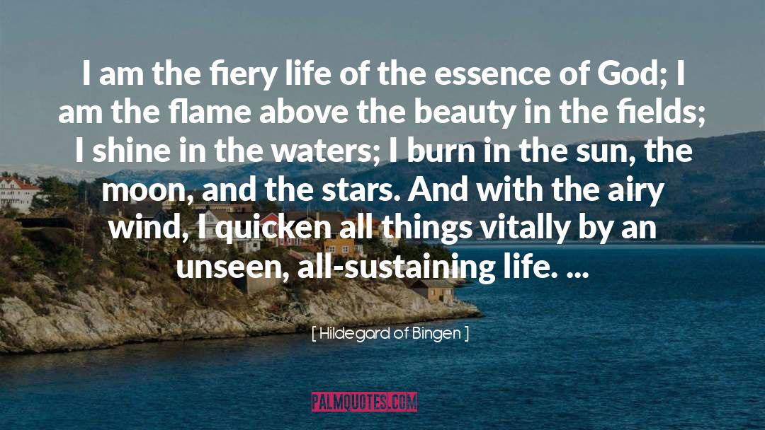 Hildegard Of Bingen Quotes: I am the fiery life