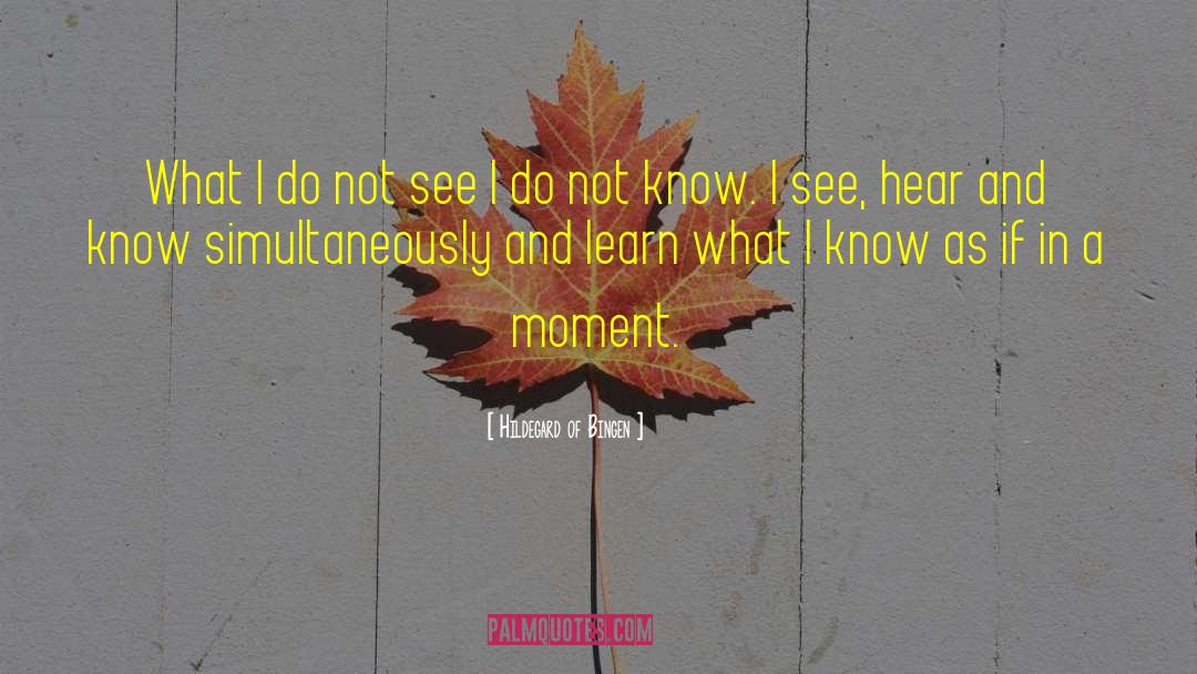 Hildegard Of Bingen Quotes: What I do not see