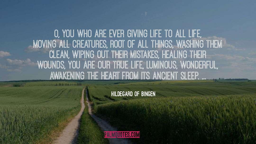 Hildegard Of Bingen Quotes: O, You who are ever