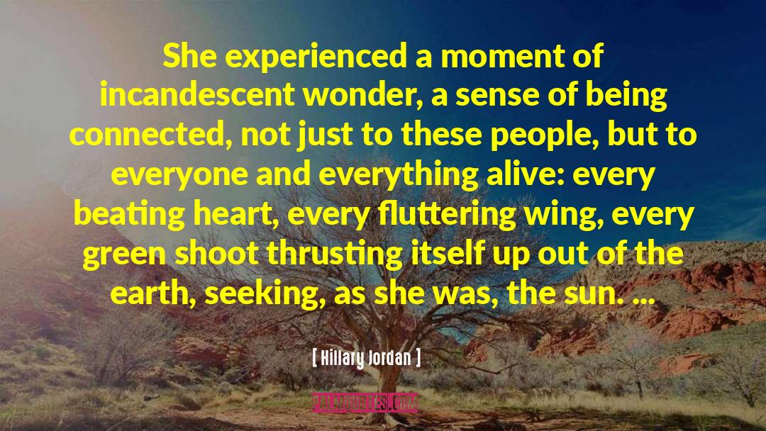 Hillary Jordan Quotes: She experienced a moment of
