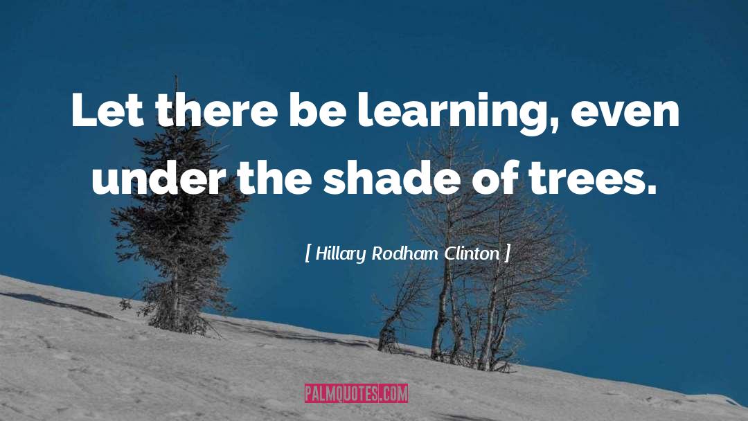 Hillary Rodham Clinton Quotes: Let there be learning, even