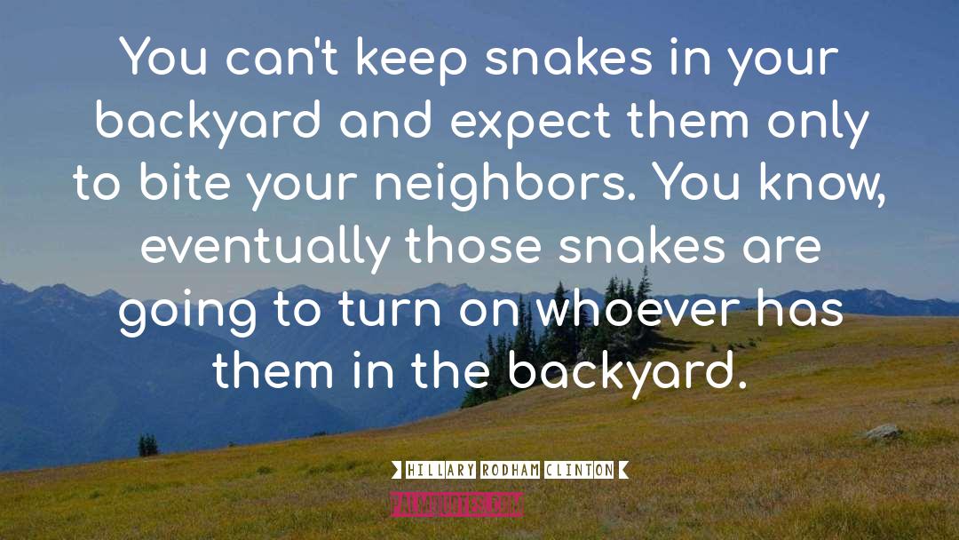 Hillary Rodham Clinton Quotes: You can't keep snakes in